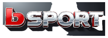 bsport bty6138 logo